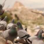 Cappadocia Private Guided Tour(Car&Licensed Guide) - Practical Considerations