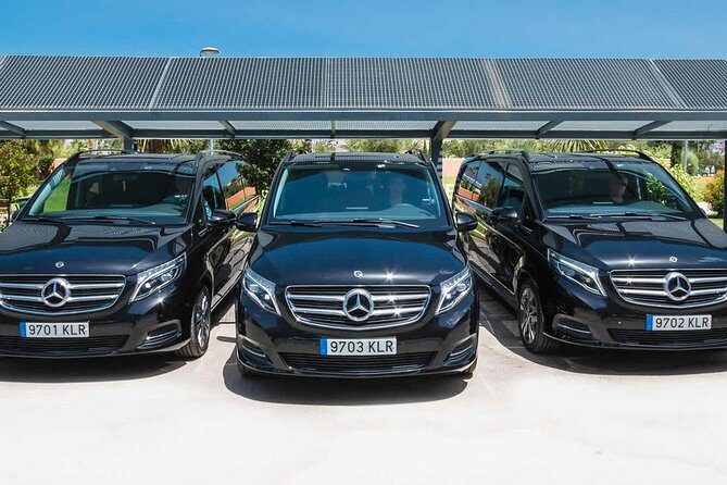 Cappadocia Shuttle Transfer from Nevsehir Airport - What to Expect at the Airport