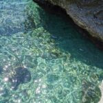 Capri Boat Daily Tours - The Itinerary: What You’ll Experience