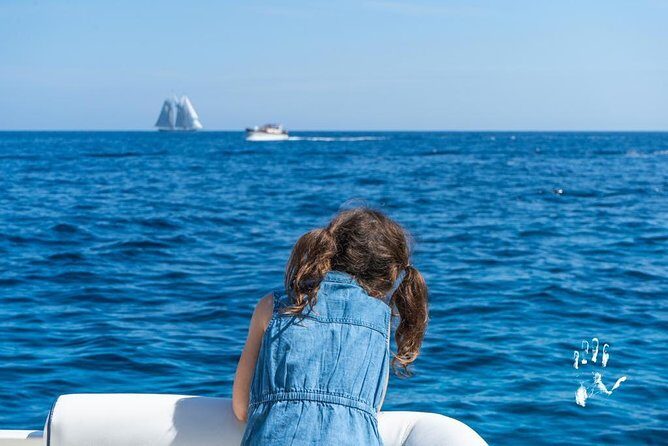 Capri excursion shared from Sorrento - What Travelers Say