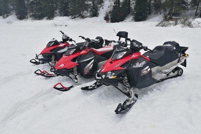 Carpathian mountains Snowmobile, ATV or Buggy tour in one day - An In-Depth Look at the Experience