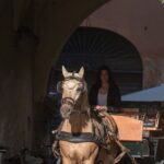 Carriage tour in the historic center of Lucca - The Experience: What Makes It Special