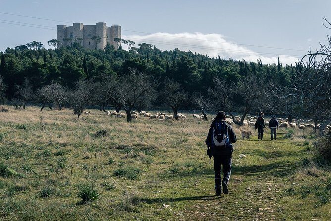 Castel del Monte: excursion in the Alta Murgia National Park - Transportation and Convenience