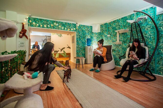 Cat Museum Budapest Entry Ticket - The Small Caveats