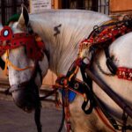 CATANIA TRANSFER to or from TAORMINA, GIARDINI NAXOS or SYRACUSE - What does the route coverage entail?