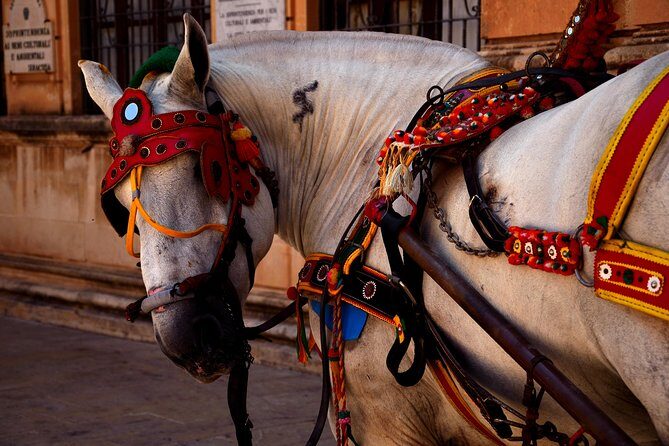 CATANIA TRANSFER to or from TAORMINA, GIARDINI NAXOS or SYRACUSE - What does the route coverage entail?