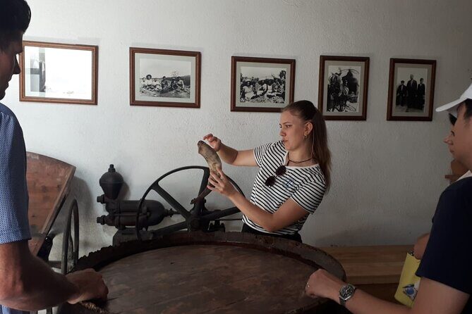 Cava tour to 3 family wineries with hotel pick-up - Why This Tour Stands Out