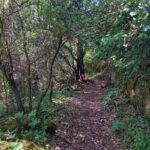 Cavagrande hiking tour - Why This Tour Works Well