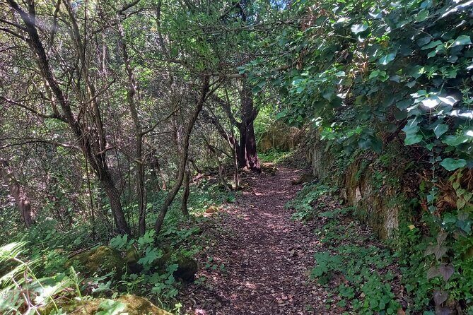 Cavagrande hiking tour - Why This Tour Works Well