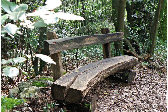 Cavtat & Konavle District Half Day Private Tour - Who Will This Tour Suit Best?