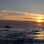 Cavtat Sunset Cruise with Unlimited Drinks Small Group Experience - Who Will Love This Tour?