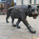 Central Oslo Guided Walking Tour - Why This Tour Offers Good Value