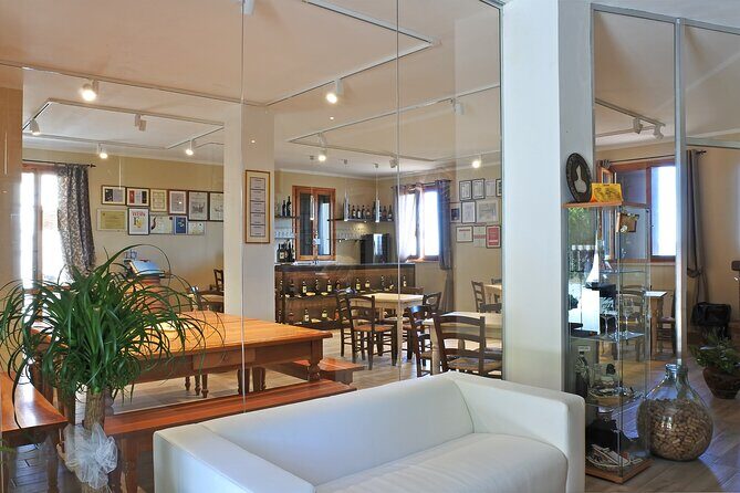 Cesani Wine Experience - The Setting and Atmosphere