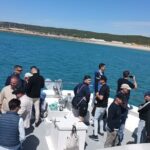 Cetacean Watching Tour - Real Traveler Insights