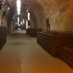 Champagne Day tour with Veuve Clicquot and 2 other big wineries - Who Is This Tour Best For?