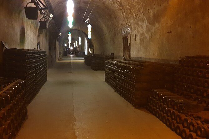Champagne Day tour with Veuve Clicquot and 2 other big wineries - Who Is This Tour Best For?