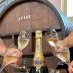 Champagne Day Trip from Reims including 7 Champagne Tastings - What Makes This Tour Stand Out