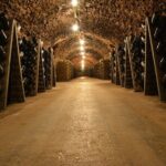 Champagne experience with a vintage van from Epernay - 3 hours - Who Should Book This Tour?