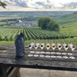 Champagne Small-Group Day Trip with Lunch and Tastings from Paris - What Makes This Tour Stand Out?