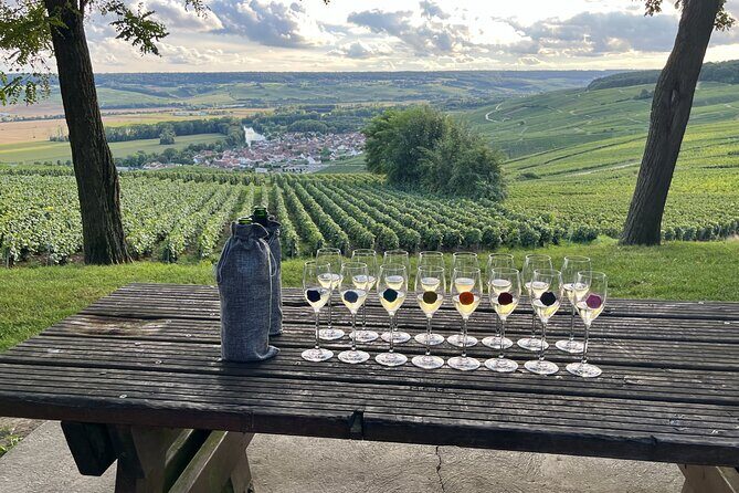 Champagne Small-Group Day Trip with Lunch and Tastings from Paris - What Makes This Tour Stand Out?