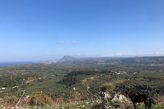 Chania Area: Cooking Class at a Farm in Stylos Village (organic) - The Culinary Experience: Cooking and Tasting