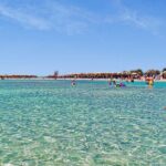 Chania: Elafonisi & Falasarna Private Tour w/olive oil tasting - Who Is This Tour Best Suited For?