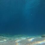 Chania Guided Snorkeling and Boat Excursion - The Value and Price