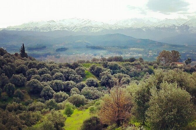 Chania Nature & Villages, White Mountains & Unique Cretan Lunch - The Experience and Its Value