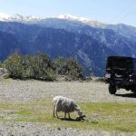 Chania Shore Excursion to the White Mountains - What We Like About the Tour