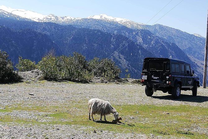 Chania Shore Excursion to the White Mountains - What We Like About the Tour