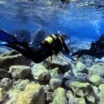 Chania | Try Scuba Diving | Private Introduction Dive - Is It Worth It?