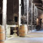 Chateau du Taillan and Park including Wine Tasting Tour - The Experience in Detail: What to Expect