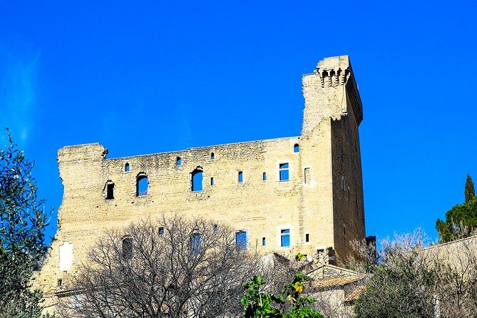 Châteauneuf Du Pape intensive vineyard & fine wine experience - What the Tour Entails: A Step-by-Step Breakdown