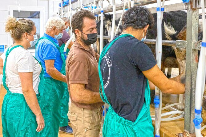 Cheese Making Workshop in Fuerteventura with Breakfast - Who Would Enjoy This Tour?