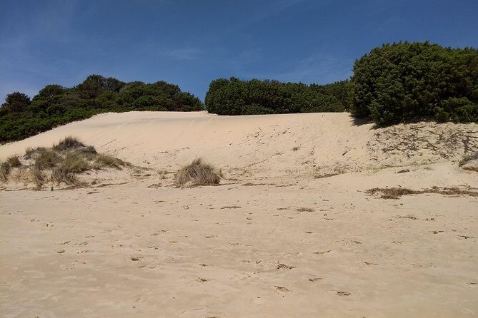 Chia Beaches Tour from Cagliari with van - What Makes This Tour Stand Out?