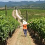 Chianti Half-Day Wine Tour in the Tuscan Hills Small Group from Lucca - Considerations and Potential Drawbacks