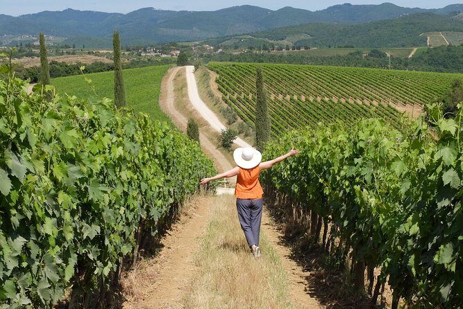 Chianti Half-Day Wine Tour in the Tuscan Hills Small Group from Lucca - Considerations and Potential Drawbacks