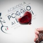 Chianti: Premium Wine, Olive Oil and Vinegar Tasting - Final Thoughts