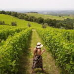 Chianti vineyards: Small-Group tour with wine tasting & Dinner - FAQ