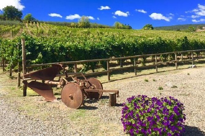 Chianti Wine and Vinci half day Small Group Tour from Lucca - Practical Tips for Booking and Enjoying the Tour