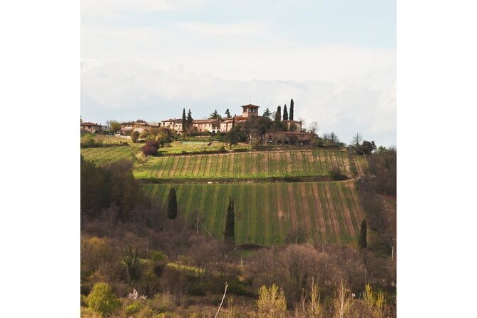 Chianti Wine Tour from Florence to San Gimignano with 2 Wineries - Visiting San Gimignano: Medieval Charm and Incredible Views