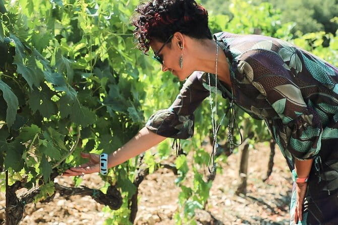 Chianti Wine Tour from Florence - The Scenic Drive: Why It Matters