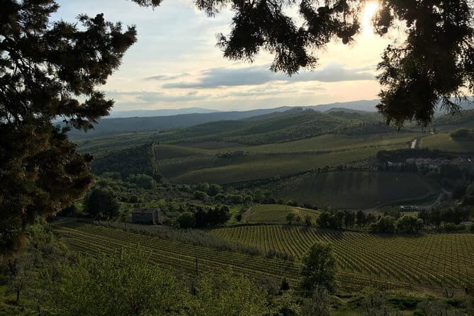 Chianti Wine Tour - Private Wine experience in Tuscany Countryside - What Makes This Tour Stand Out