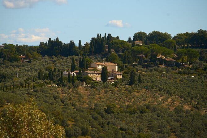 Chianti Wine Tour with Tastings Semi-Private Experience - Price and Value