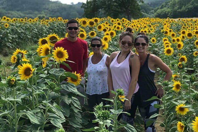 Chianti Wineries Tour with Tuscan Lunch and San Gimignano - The Experience: What Travelers Are Saying