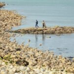 City Explorer: Howth Private Day Trip - Who is this tour ideal for?