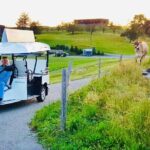 City tour plus Lucerne - Breakdown of the Itinerary