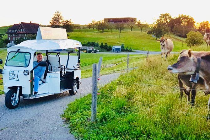 City tour plus Lucerne - Breakdown of the Itinerary