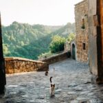 Civita di Bagnoregio and Orvieto - Private Day trip from Rome - The Bottom Line