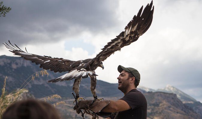 CIVITA EXPERIENCE Borgo Gole Mountain and ... RAPACI del Pollino - What Do Travelers Say?
